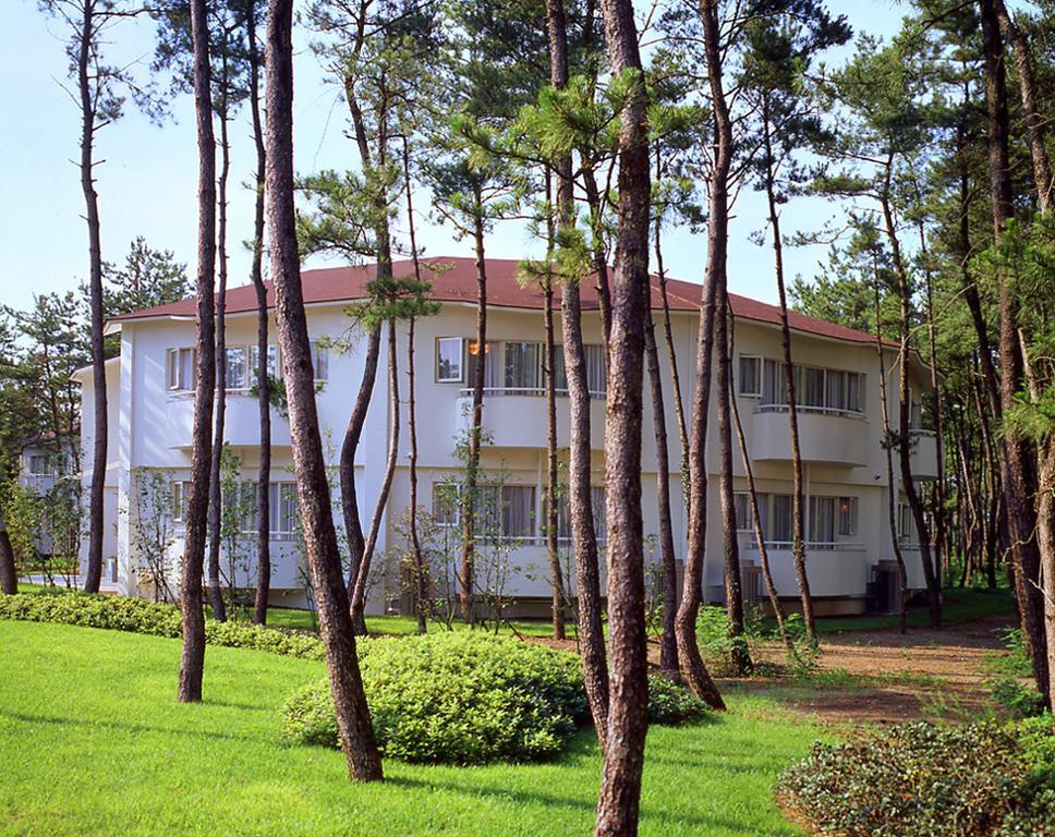 Luxze Hitotsuba/Cottage Himuka Miyazaki Camera foto