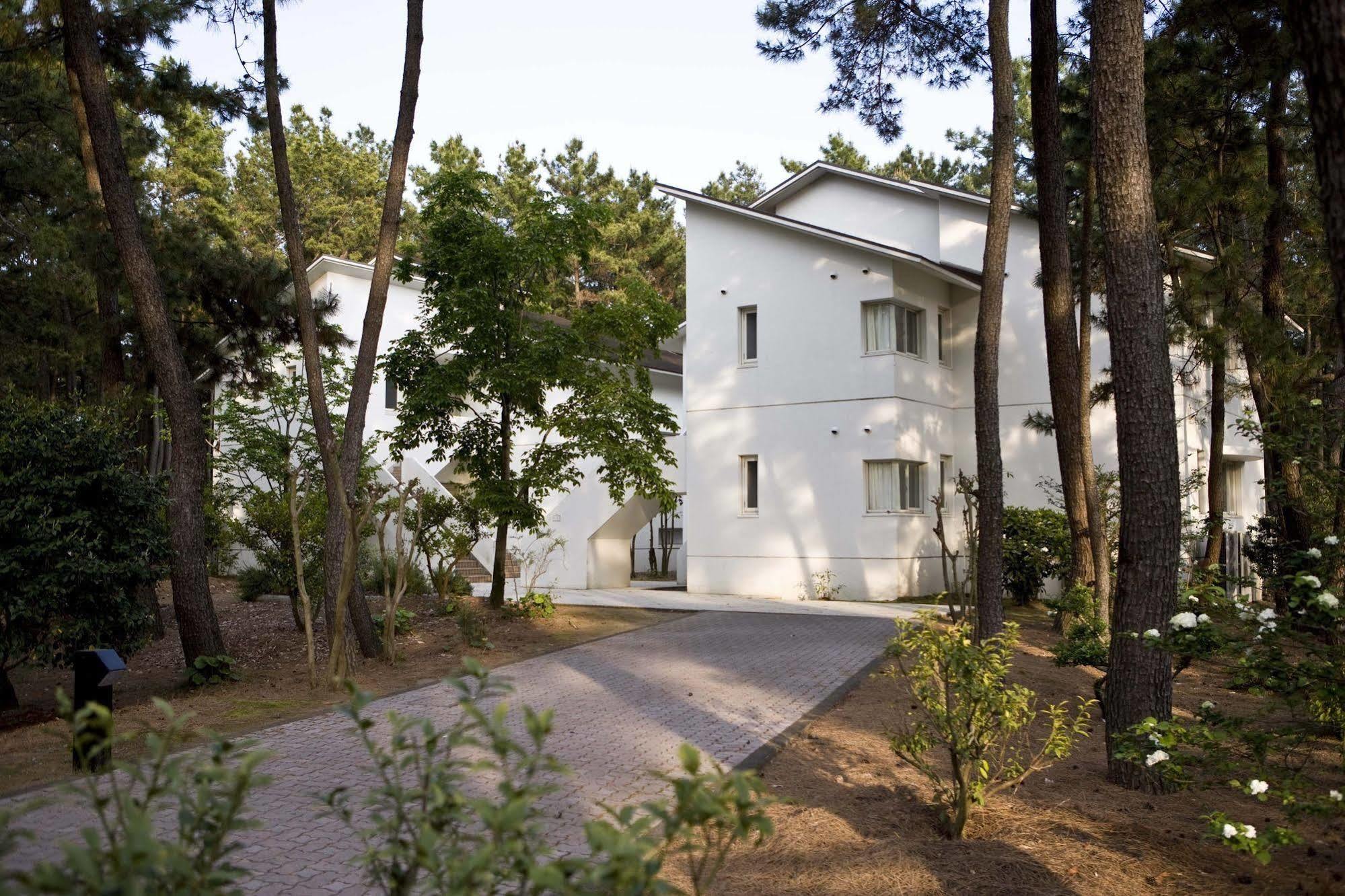 Luxze Hitotsuba/Cottage Himuka Miyazaki Esterno foto